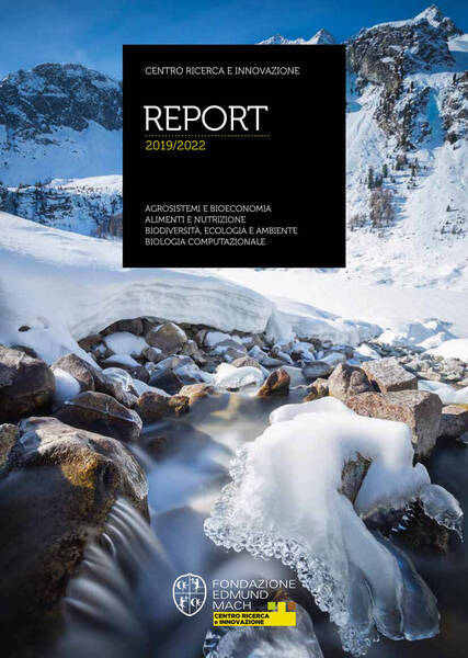 copertina Report CRI 2019-2022